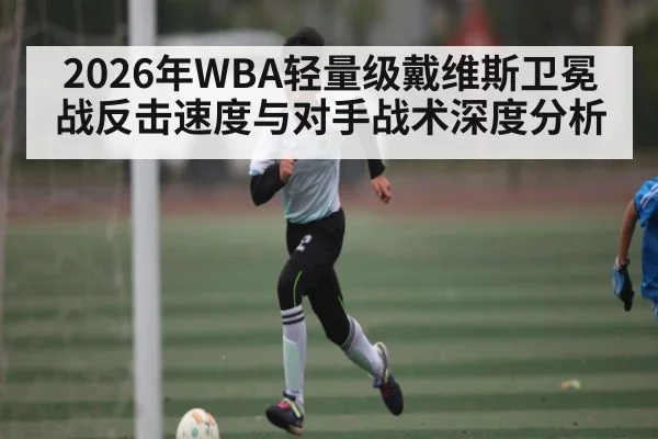 2026年WBA轻量级戴维斯卫冕战反击速度与对手战术深度分析